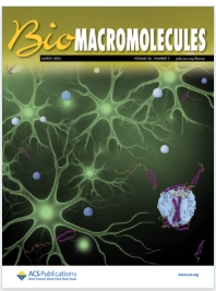 169. Deng, P.; Xu, L.; Wei, Y.; Sun, F.; Li, L.; Zhang, W.-B.;* Gao, H.* Deep Learning-Assisted Discovery of Protein Entangling Motifs. Biomacromolecules 2025, 26, 3, 1520–1529.